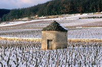 cabotte-auxey-duresses-photo-alain-doire_bourgogne-tourisme