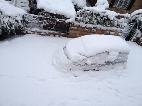 1471322_10152107646682392_830283728_n