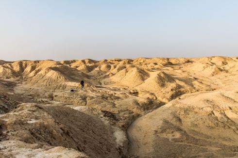 1548068_10152965249677392_3338920248169213787_o