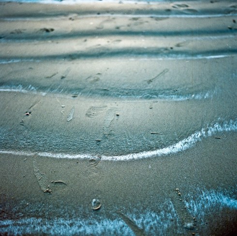 10511623_400782160073561_5090735144635389637_o