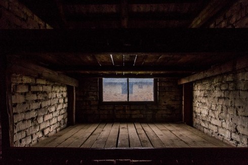 11155166_10153246820737392_8459108718605617780_o