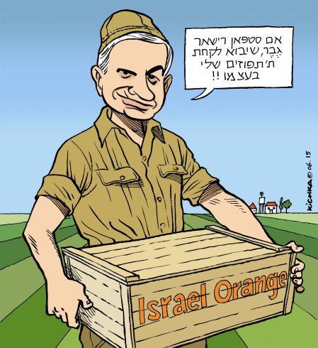 Bibi Orange june 2015