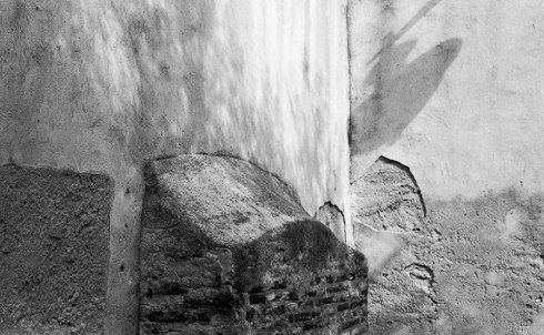 11224472_510344142450695_3227373381596803245_n