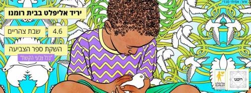 13087688_10153743124283802_1955875079578440007_n