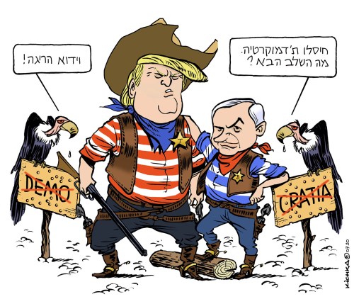 Democratia vidu hariga